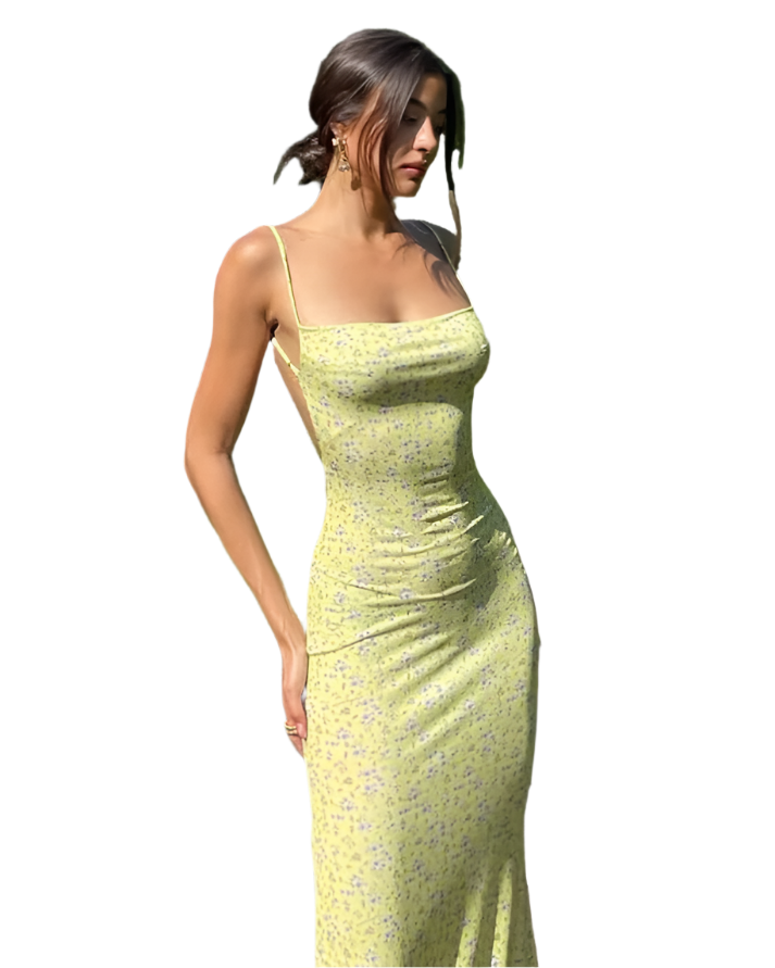 Amara – Elegant Women’s Backless Maxi Dress